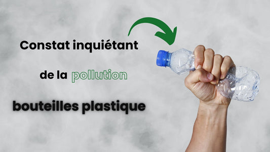 La pollution des bouteilles en plastique